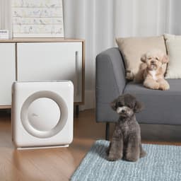 Coway MIGHTY AP-1512HH Luchtreiniger – HEPA 13 + Koolstoffilter – CADR 421 m³/u – Voor ruimtes tot 109 m² – Slaapstand – Luchtkwaliteit Indicator – Tegen Hooikoorts, Allergie, Huisstofmijt, Stof & Pollen – Air Purifier - Wit — thumbnail 6
