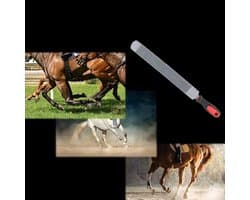 Professionele Hoefverzorging: Dubbelzijdige Hoefrasp, Hoefvijl en Gereedschap voor Paarden met Ergonomisch Ontwerp