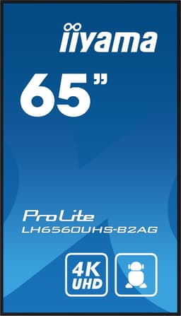Monitor Iiyama LH6560UHS-B2AG 65" 4K Ultra HD — thumbnail 5
