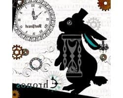 Chronos - Schijf Set - Opslag Uitbreiden - Dubbele Capaciteit - 2 Schijven - Niet Gespecificeerd