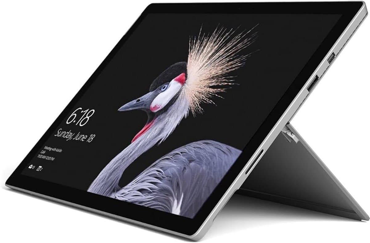 Surface Pro 6 (512GB SSD | 16GB RAM | i7-8650U | Platinum) — afbeelding 1