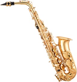 VEVOR Altsaxofoon E Majeur 23 Toetsen Sax Beginnersset met Koffer, Riem en Mondstuk — thumbnail 2