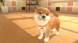 Little Friends: Dogs and Cats - Nintendo Switch (Code in a Box) — thumbnail 4