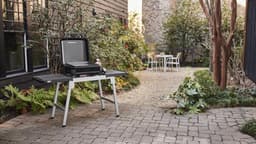 Weber Plancha 43 centimeter — thumbnail 4