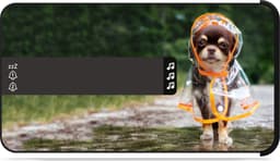 Bigben Kinderwekker met Geluidseffecten - Honden — thumbnail 1