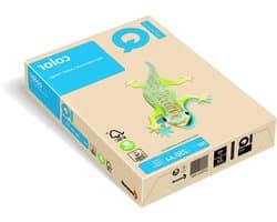 Multifunctioneel Papier - Kantoor A4 Papier - Printen en Kopiëren - Hoge Grammage - 250 Vel - Crème