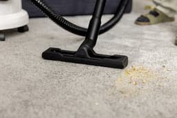 Kärcher SE 4 Plus Tapijtreiniger - Vlekkenreiniger - Incl. extra bekledingszuigmond - 4 / 4 liter - Nat- en droog stofzuiger - Geschikt voor oa. autostoelen - bureaustoelen - banken - hondenmanden, tapijten, vloerkleden, baby- en kinderstoelen — thumbnail 2