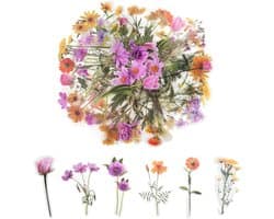Handgemaakte Bloemen Stickers voor Scrapbooken - 80 Stuks Transparante Stickers voor Kaarten, Laptop en DIY Creatieve Projecten (Roze + Kracht)