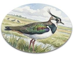 Ronde Muismat Vogel Kievit in Groen Gras Natuur Illustratie Aquarel Series Cadeau voor hem & haar: Vrouw, Vriend(in) & Collega Bureau Accessoires Thuiswerkplek Kantoorartikelen Vogelspotter Weidevogel Decoratie Computer Laptop Muis Mat