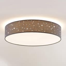 Ronde Zwarte Plafondlamp met Afstandsbediening - Dimbaar LED Woonkamer Verlichting — thumbnail 3
