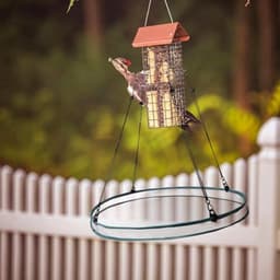 stuks vogelzaadbakken met 8 haken, hangende vogelzaadweegschaalhouder, platformvoederbak om vogels aan te trekken, buiten, achtertuin, huis, tuin — thumbnail 5