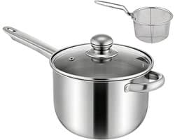 Mini Friteuse - Compact Frituurpan - Thuis Koken - Roestvrij Staal - 2.5 Liter - Zilver
