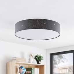 Ronde Zwarte Plafondlamp met Afstandsbediening - Dimbaar LED Woonkamer Verlichting — thumbnail 1