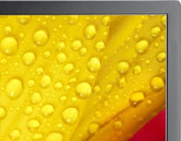 Monitor NEC 60006084 50" 4K Ultra HD — thumbnail 2