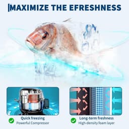 Minikoelkast met Vriesvak 45 Liter – Compacte Koelkast voor Slaapkamer, Studentenkamer en Kantoor – Regelbare Thermostaat – Uitneembare Glazen Legplank – Fluisterstil & Energiezuinig (Energieklasse E) — thumbnail 3