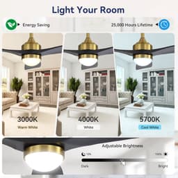 DESMIU Plafondventilator Met Verlichting 132 Cm - Dimbaar Led Licht Met Afstandsbediening, Timer En 6 Snelheden - Voor Woonkamer En Slaapkamer - Hout Goud — thumbnail 3