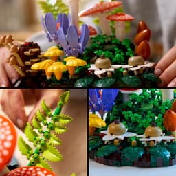 LEGO Botanicals - Bospaddenstoelen Constructiespeelgoed — thumbnail 4