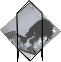 LP vinyl platenrek - opbergrek 30 lp vinyl platen — thumbnail 4