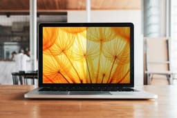 3M BPNDE005 schermfilter 33 cm (13") Laptop Randloze privacyfilter voor schermen — thumbnail 2