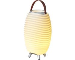 Kooduu Synergy 35 - Wijnkoeler met Bluetooth Speaker én LED Lamp - 41 cm - Bluetooth Speaker - LED Lamp - Dimbaar - Wijnkoeler - Party Speaker - Oplaadbaar - 11 uur Speeltijd - Draagbare Speakerlamp - 3-in-1