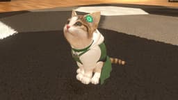 Little Friends: Dogs and Cats - Nintendo Switch (Code in a Box) — thumbnail 2