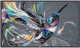 Philips Signage Solutions 75BDL3511Q/00 beeldkrant Digitale signage flatscreen 190,5 cm (75") IPS 400 cd/m² 4K Ultra HD Zwart — thumbnail 1