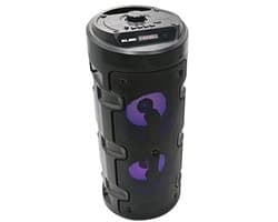 Draagbare Bluetooth Karaoke Luidspreker met Licht, 10W, SD, USB, FM, Microfoon, 4 Uur Afspelen, TWS, Afstandsbediening, Zwart