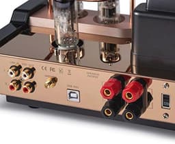 Geïntegreerde Vacuümbuis Versterker met Bluetooth en USB/DAC — thumbnail 4