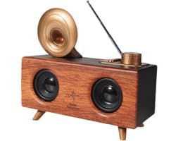 RetroTone Bluetooth Speaker met FM Radio – Retro Horn Design – 10W Stereo Geluid – Bluetooth 5.4 – TWS Pairing – TF/USB/AUX