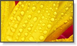Monitor NEC 60006084 50" 4K Ultra HD — thumbnail 1