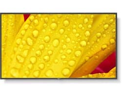 Monitor NEC 60006084 50" 4K Ultra HD