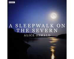 A Sleepwalk On The Severn