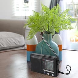 Solene Transistor Radio Op Batterijen - Transister Radio Op Batterijen - Draagbare Radio - Kleine Radio - Mini Noodradio FM/AM - Pocket Radio Speler - Radio voor Rampen - Radio op Batterijen — thumbnail 5