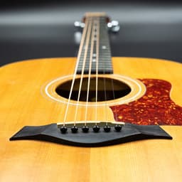 Premium Brugpinnen zwart akoestische gitaar - Set (6 stuks) Brugpin - Pinnen voor gitaar - Gitaar volwassenen - Gitaar kind — thumbnail 5
