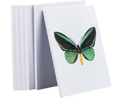 6 Stuks EVA Craft Foam Papier, 10mm Dikke Witte EVA Vellen voor Insecten Pinbord en Specimen Weergave, Creatieve Wetenschappelijke Kunstbenodigdheden, 20.5x14 cm