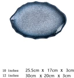 Creatieve Grote Porseleinen Visplaat voor Oven en Magnetron — thumbnail 2