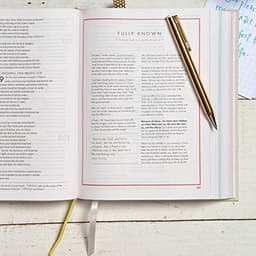 CSB She Reads Truth Bible, Hardcover: Christian Standard Bible — thumbnail 4
