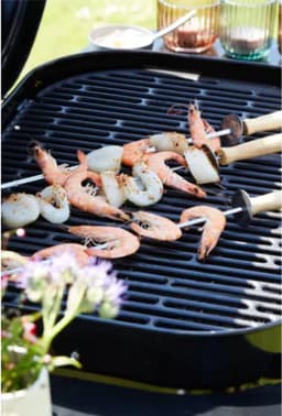 Barbecook Magnus Premium — thumbnail 2