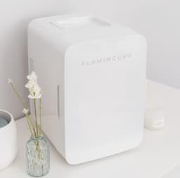 Mini Koelkast 10L - Draagbare Koelkast 12V/220V, Cosmetica Koelkast met Warm en Koud Functie — thumbnail 5
