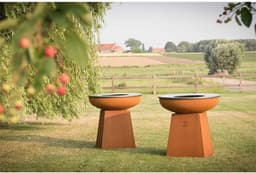 White Fire BBQ Barbecue/Vuurschaal Met Rooster — thumbnail 3