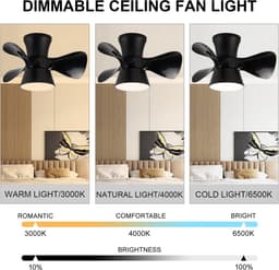 Plafondventilator met Verlichting - Ventilatorlamp Kamer - Zomer en Winter Comfort - Omkeerbare Stille DC Motor - 55 cm Diameter — thumbnail 4