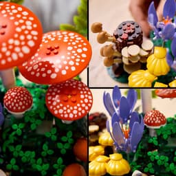 LEGO Botanicals - Bospaddenstoelen Constructiespeelgoed — thumbnail 3