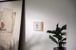 Netatmo Pack “Slimme Thermostaat + 3 Slimme Radiatorknoppen” — thumbnail 3
