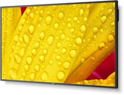 Monitor NEC 60006084 50" 4K Ultra HD — thumbnail 3