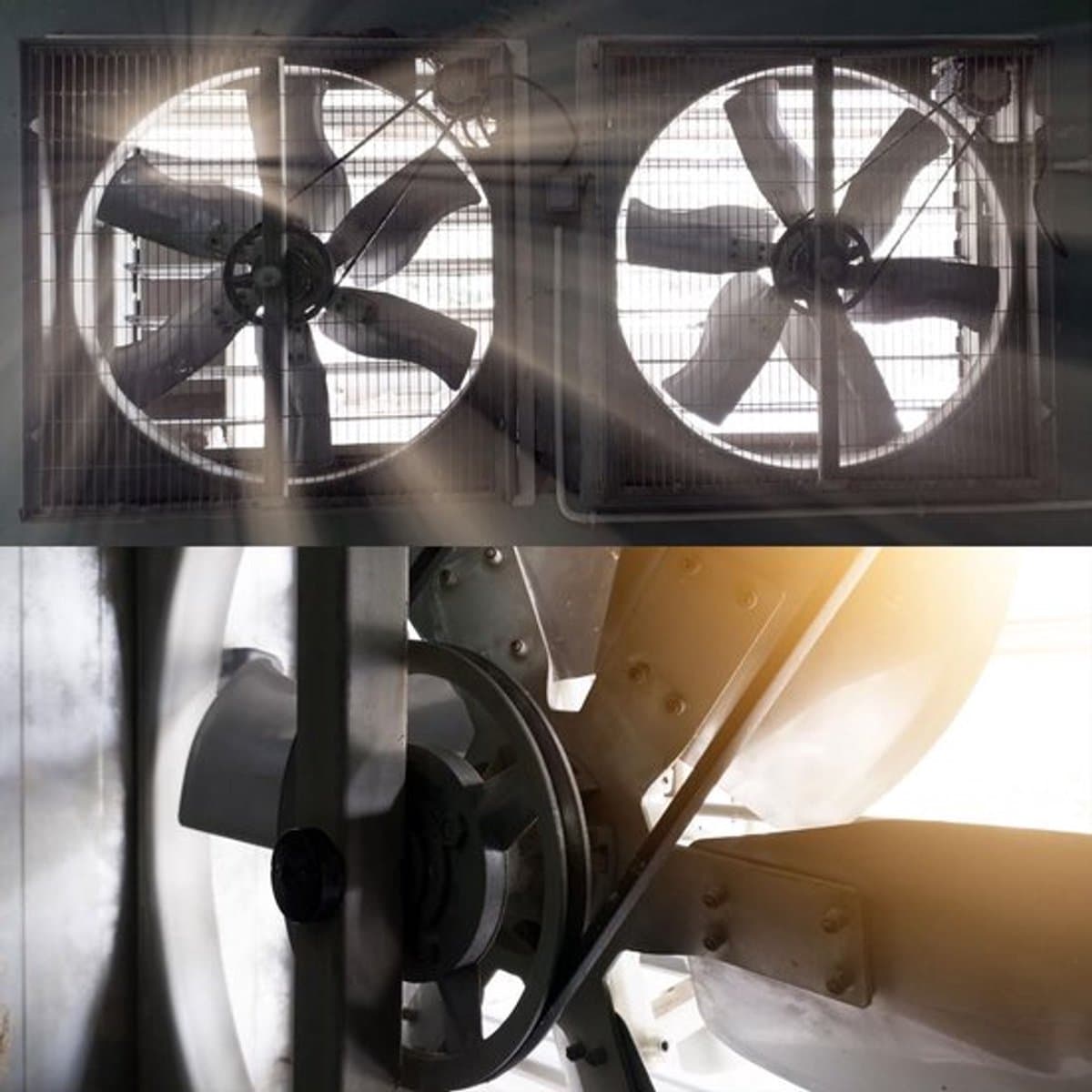 V-riem - Rubber drive belt - 432 mm lengte - Duurzaam en flexibel - Geschikt voor diverse apparaten - Ideaal voor grasmaaier en boormachine — afbeelding 1