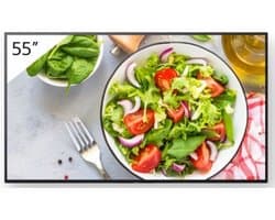 Sony BRAVIA Professional FW-55BZ35L display