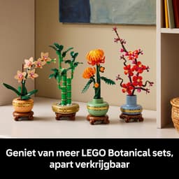 LEGO Botanicals Bamboe 10344 — thumbnail 3