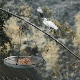 stuks vogelzaadbakken met 8 haken, hangende vogelzaadweegschaalhouder, platformvoederbak om vogels aan te trekken, buiten, achtertuin, huis, tuin — thumbnail 2