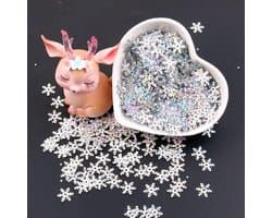 Sequins in 7mm voor Creatieve Projecten - Sneeuwvlok Sequins voor Naaiwerk, DIY Ambachten en Feestdecoratie - 20g, Ongeveer 2000 Stuks Zilver B