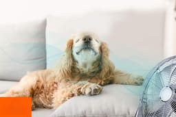 Equivera Vloerventilator - Tafelventilator - Kantelbaar - Meerdere Snelheden - Premium — thumbnail 5